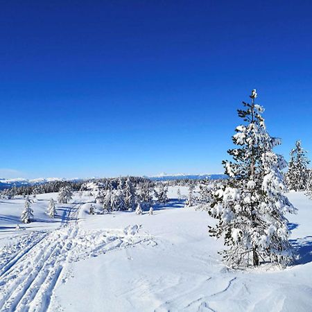 Bakka Villa Hovin Exteriör bild